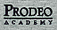 Prodeo Academy Logo