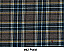 Plaid #42