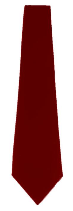 Neck Tie - Burgundy